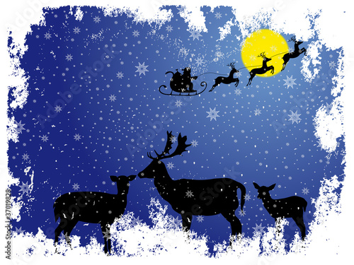Rehfamilie im Schnee