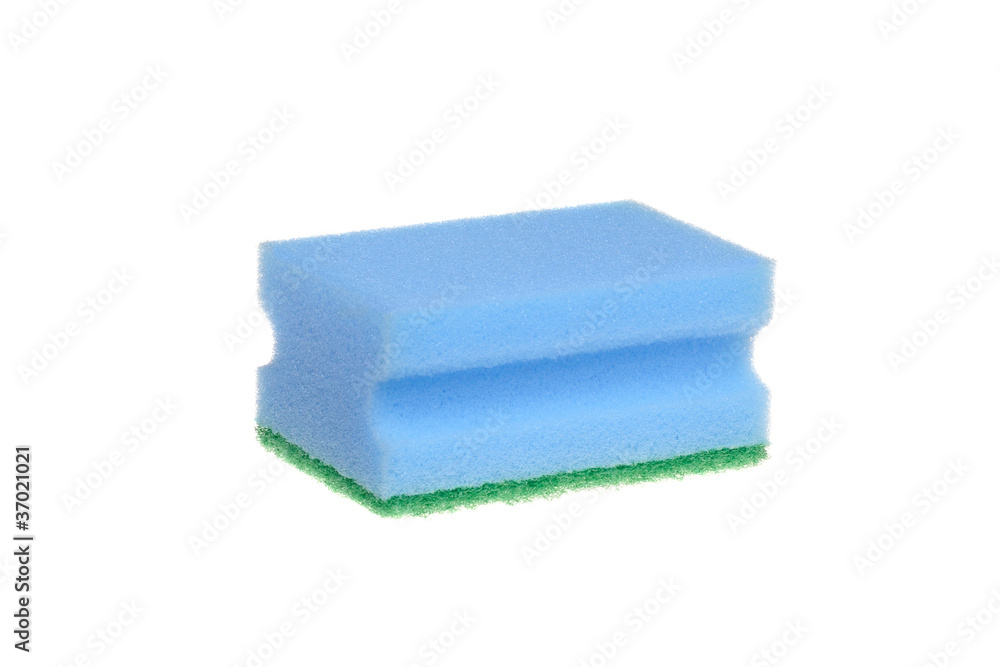 blue sponge blue sponge
