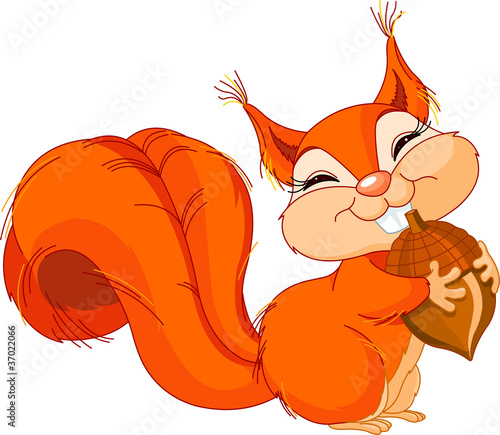Squirrel with nut