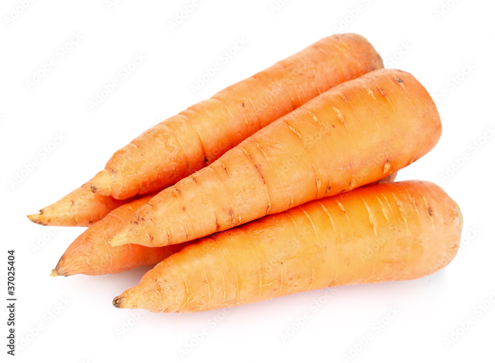 Fresh carrots isolated on white