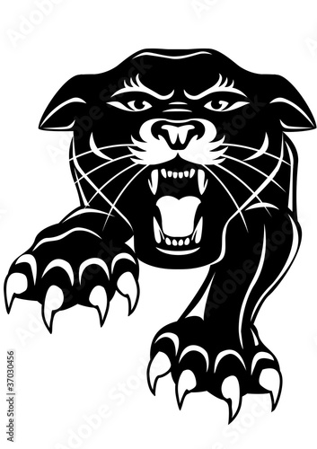 Black panther