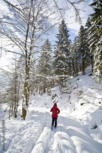 woman hiking in winter © Uroš Medved