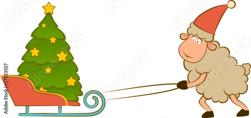 Cartoon funny sheep heaves up sledges with fir-tree.