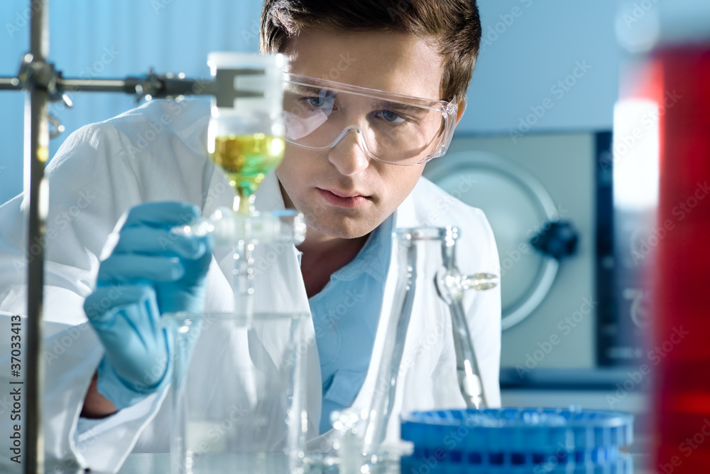 scientist working at the laboratory scientist working at the laboratory