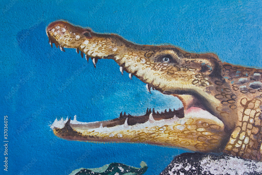 Obraz premium Painting crocodile head on the walls of cement.