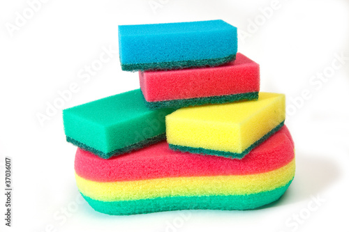 Sponges