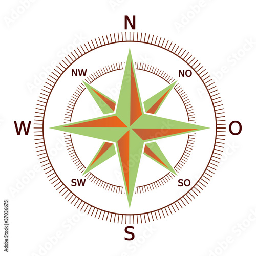 Windrose VIII