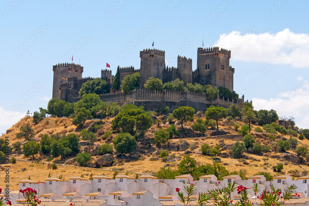 Castle on a sunny hill, Andalusia, Spain