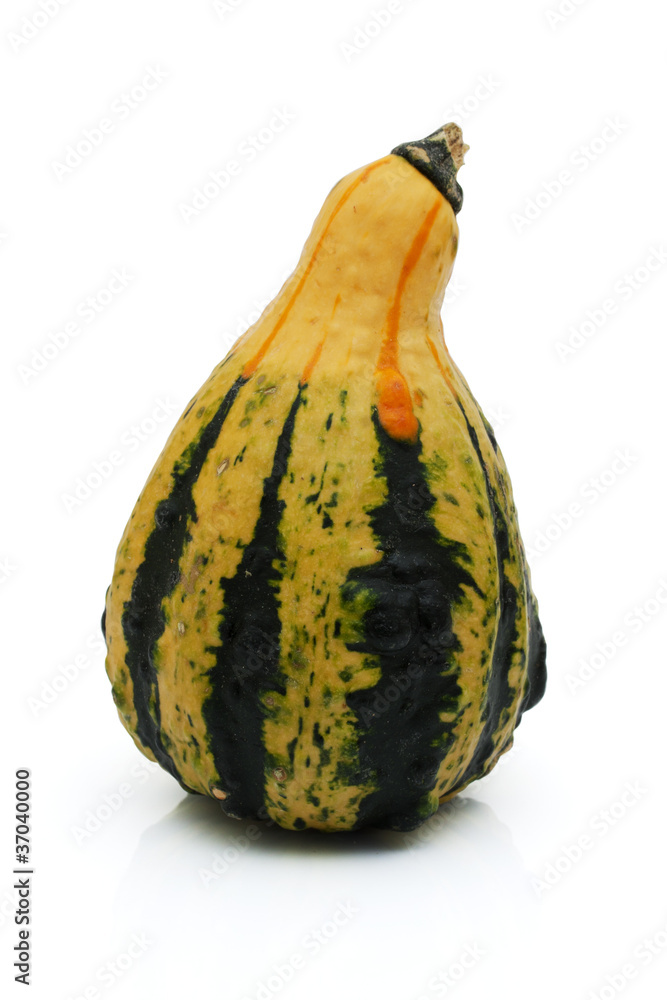 Yellow and Green Gourd Yellow and Green Gourd