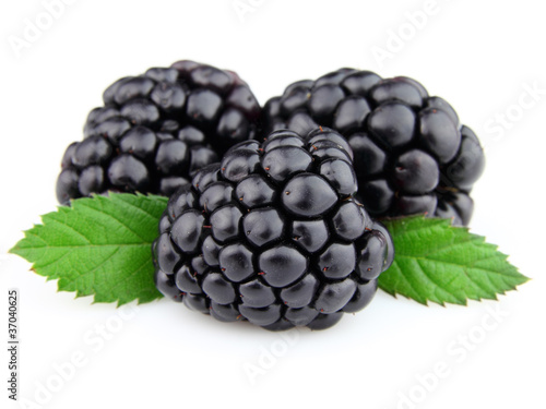 Sweet blackberry with leaves