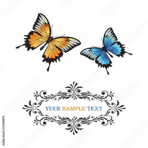 Butterflies. Orange and blue colors. Frame of the leaf pattern