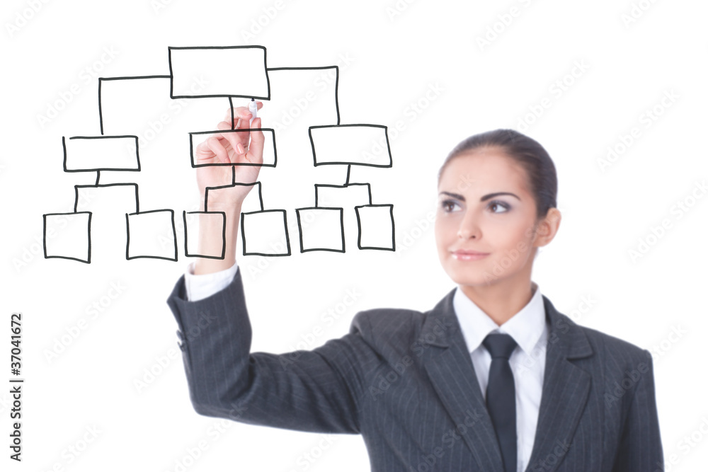 young businesswoman with an empty diagram young businesswoman with an empty diagram