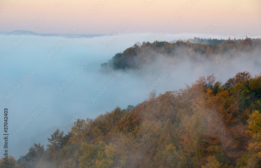 nebel im mittelgebirge nebel im mittelgebirge