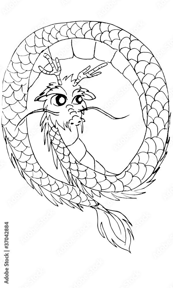 Fototapeta premium 龍