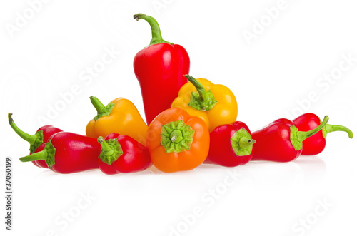 Colored pepper on a white background