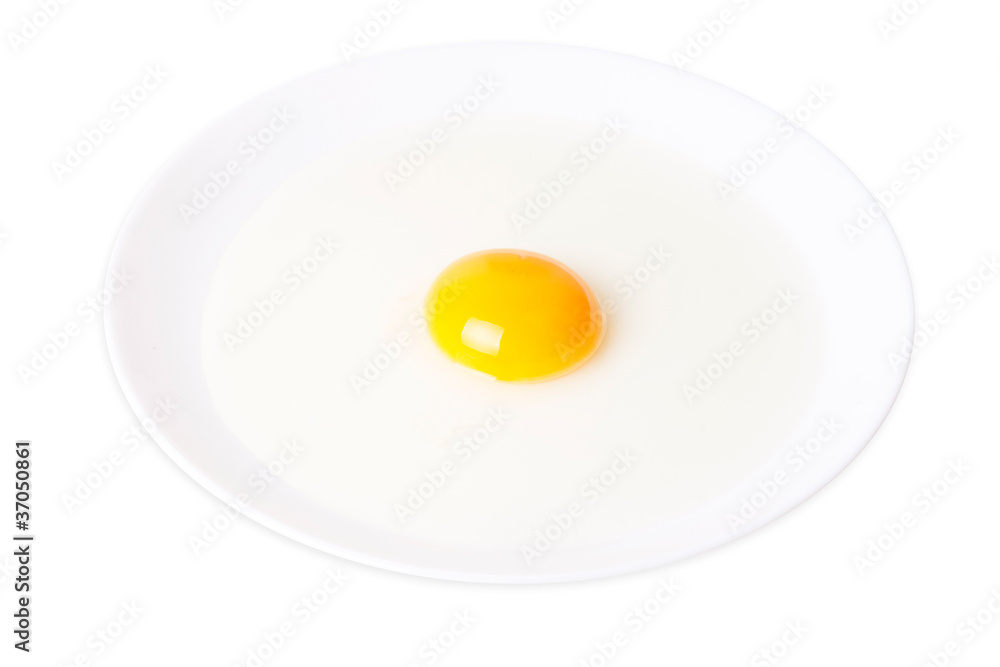 fried egg in plate fried egg in plate