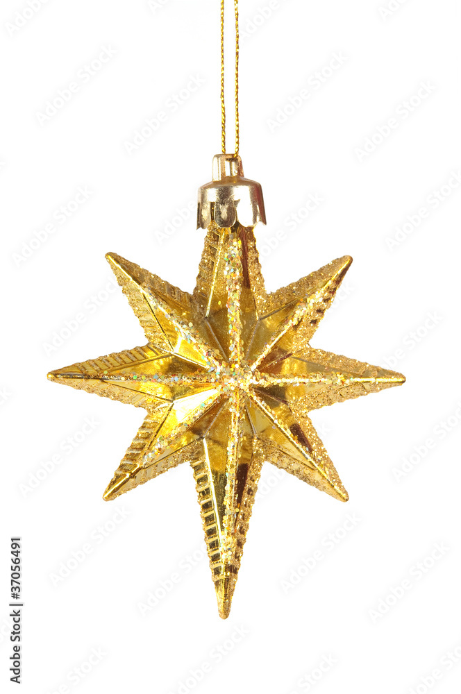golden starl golden starl