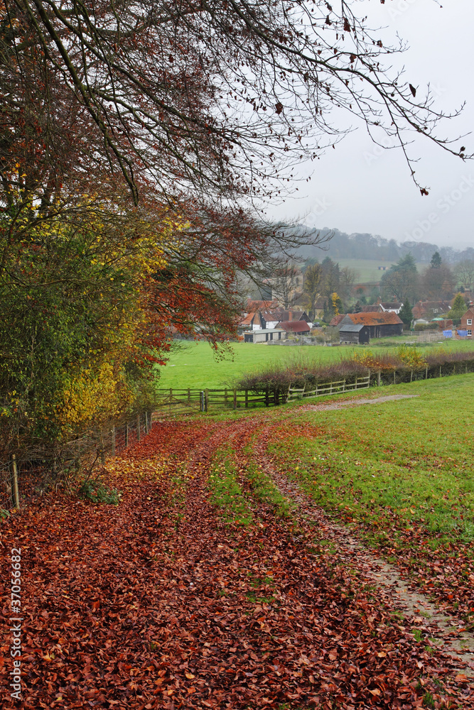 Naklejka premium Late Autumn on an English Rural track