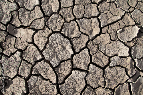 Cracked lifeless soil