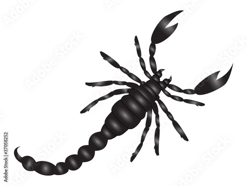 skorpion