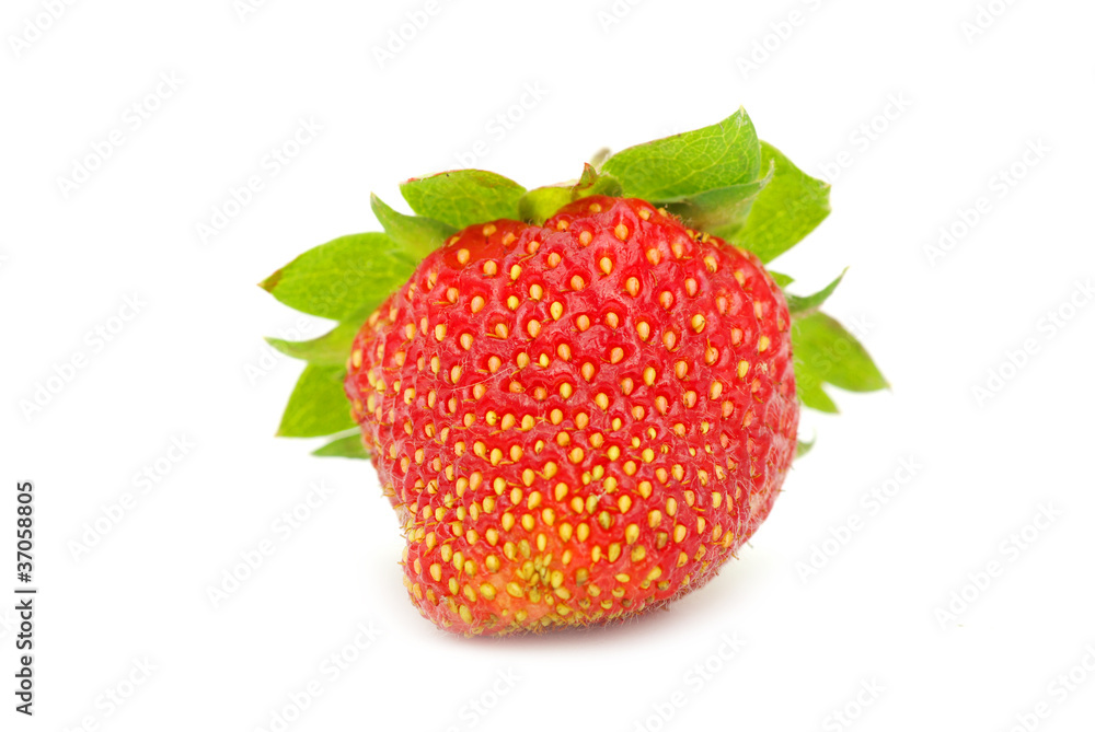 strawberry strawberry