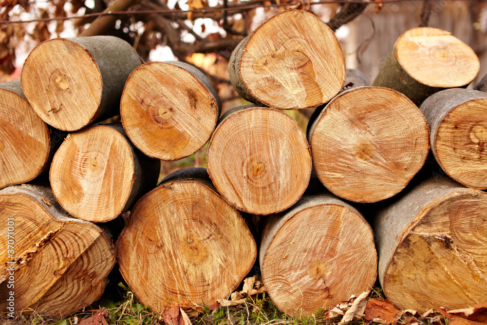 Logs Logs