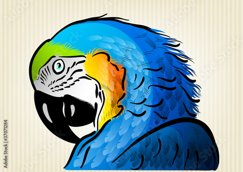 blue parrot