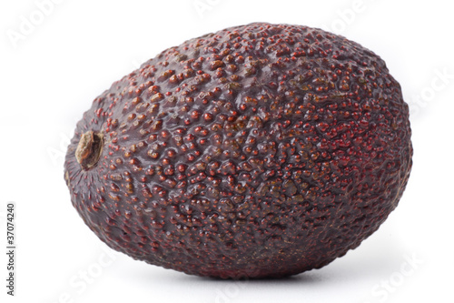Konstfotografi Dunkle Avocado