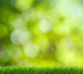 Acrylglasbilder Gras Grünes Gras mit weichem Bokeh  © Vitaly Krivosheev
