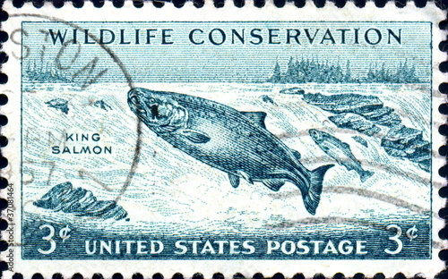 King Salmon. Wildlife Conservation. US Postage.