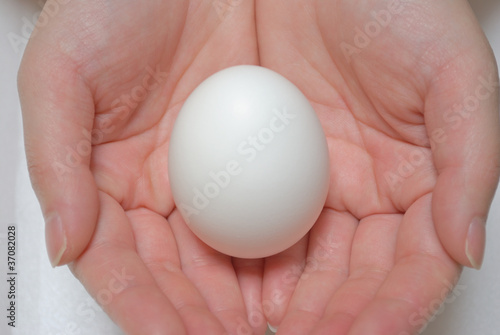 卵と手