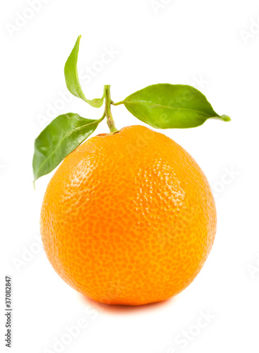 Tangerine with leaves