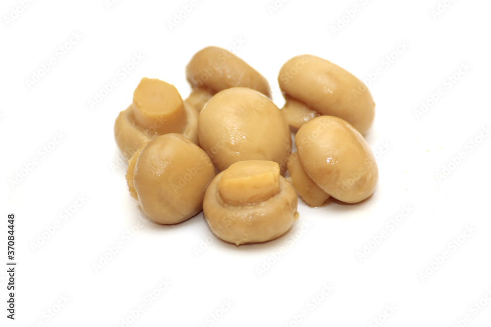 champignons champignons