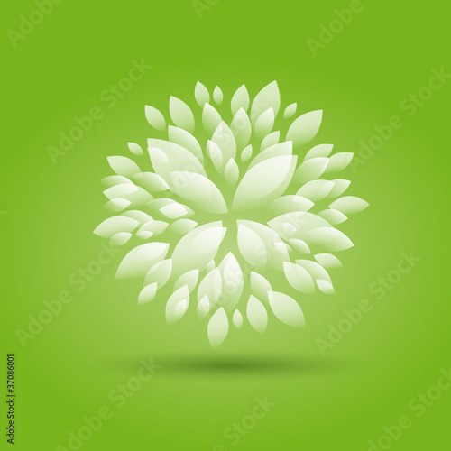 Green Floral background # Vector