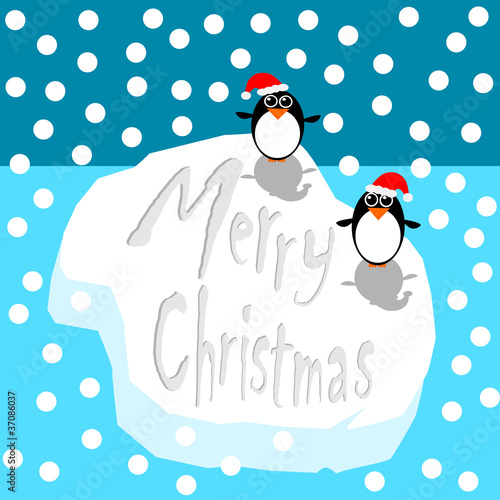 pinguini 02