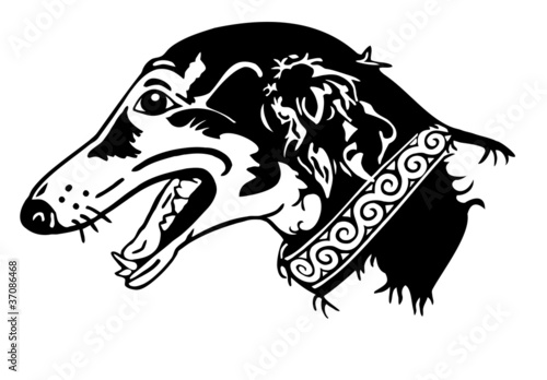 Barsoi  Windhund