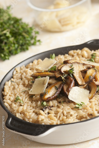 Plakat w ramie Wild mushroom risotto