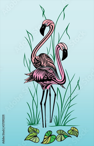 Couple of pink flamingo