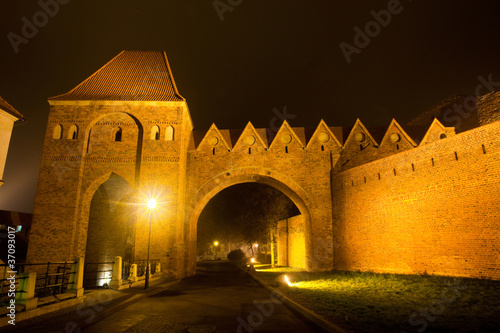 Night scene with Teutonic castle in Toruń,Poland photo