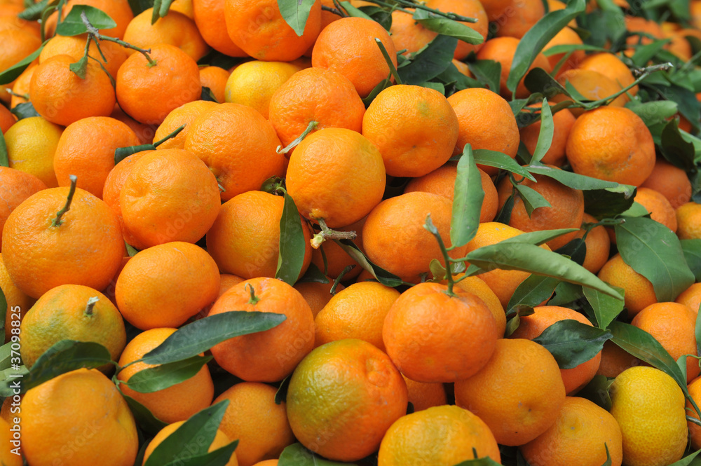 pile of tangerines pile of tangerines