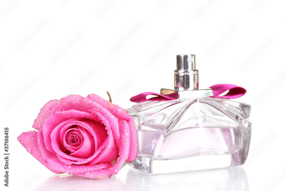 Perfume and pink roses on white background Perfume and pink roses on white background