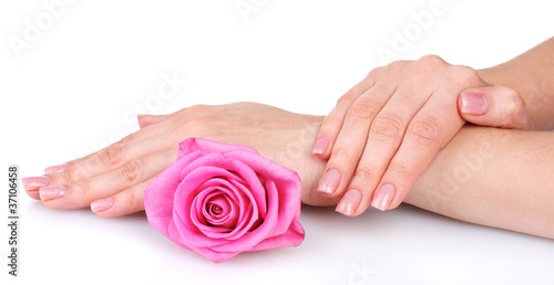 Rose and hands isolated on white