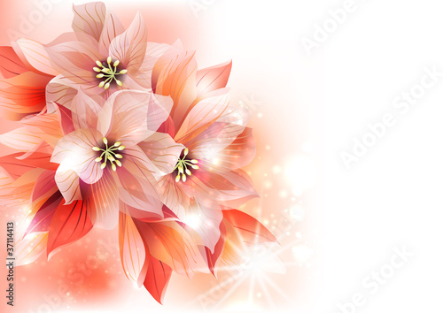 floral decorative background