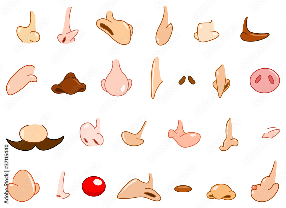 Cartoon Noses Reference Sheets and Examples for Drawing Practice - How to Draw S