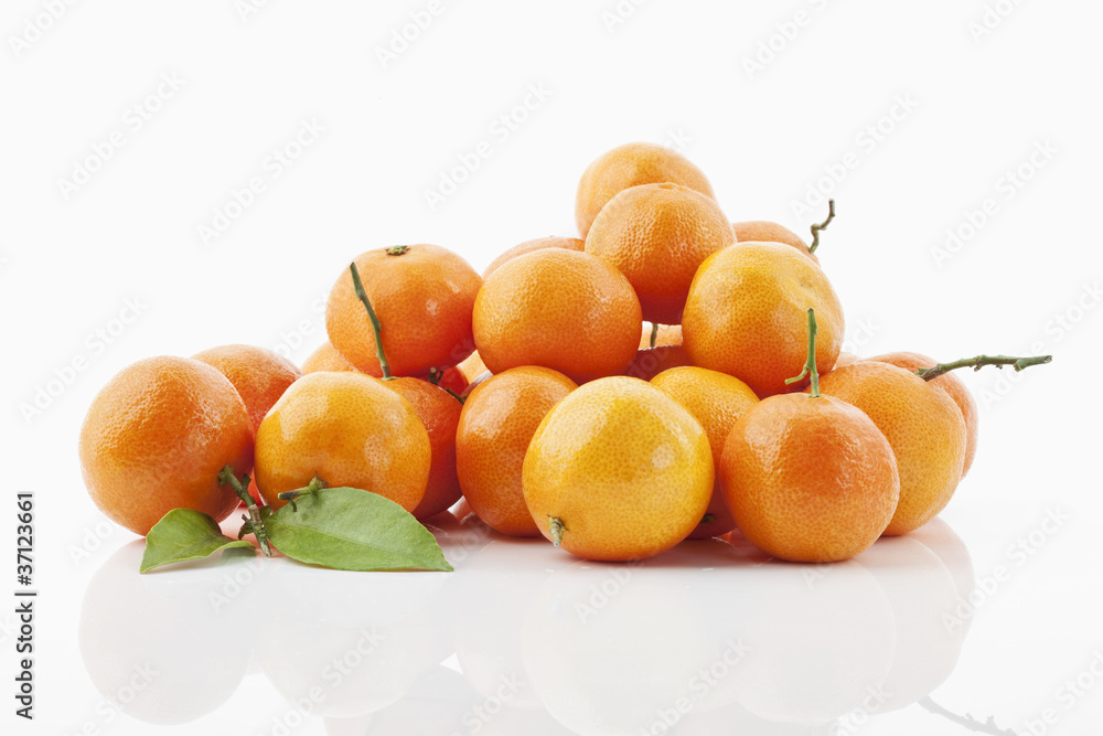 Mandarinen (Citrus reticulata) Mandarinen (Citrus reticulata)