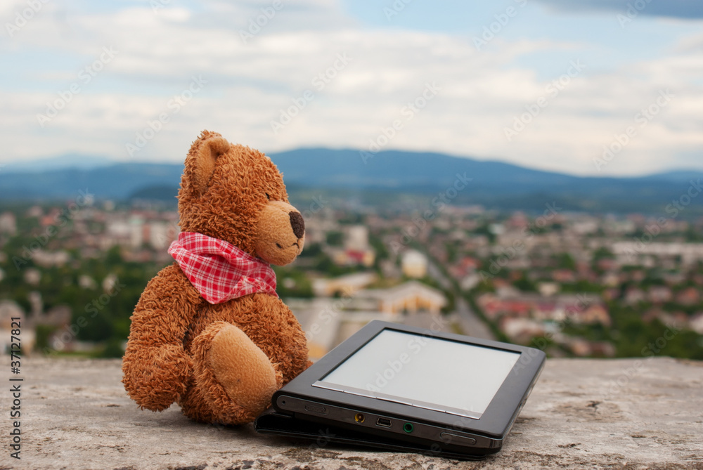 Electronic book reader laying outdoors