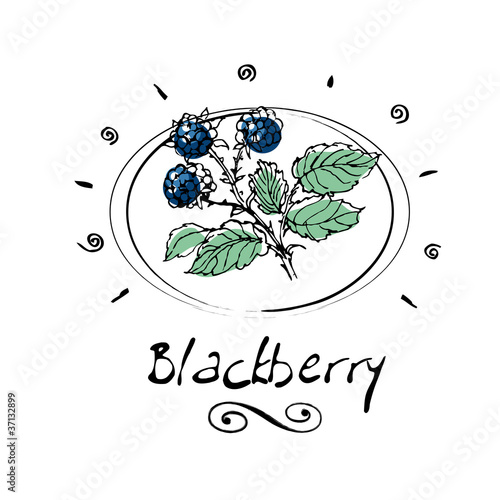 blackberry
