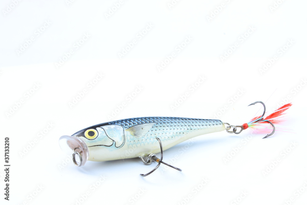 Bait style popper on Sil or small fresh water fish Stock Photo