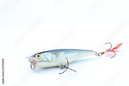 Bait style popper on "Sil" or small fresh water fish