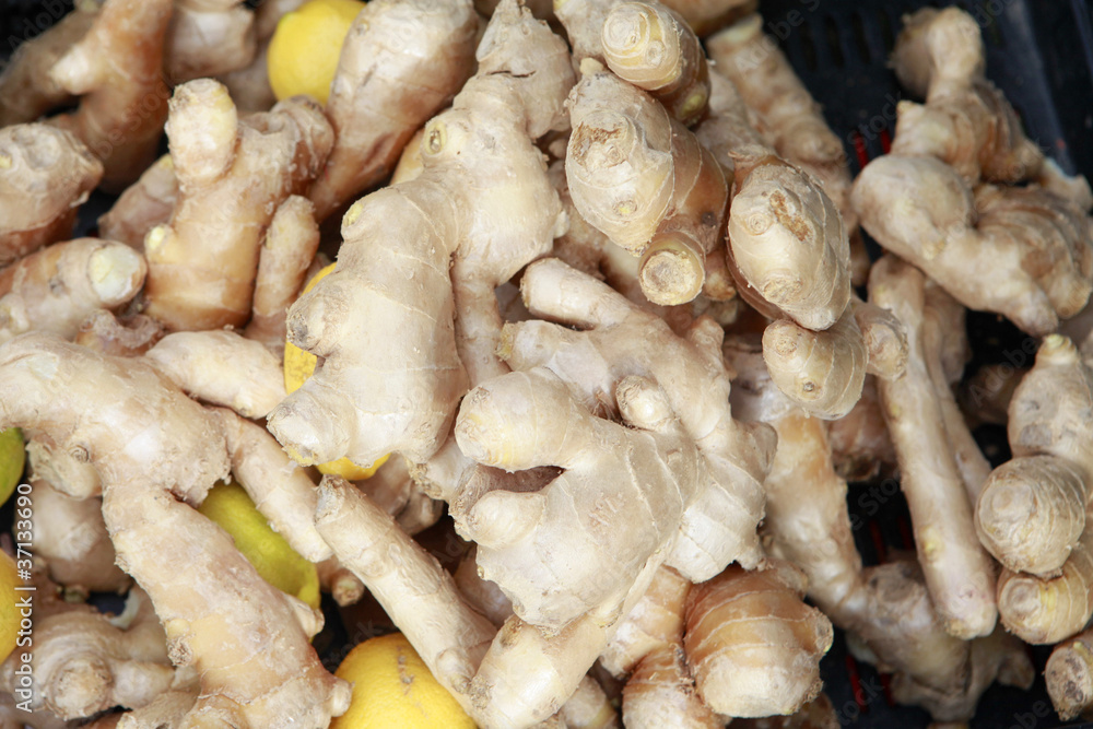 fresh ginger fresh ginger